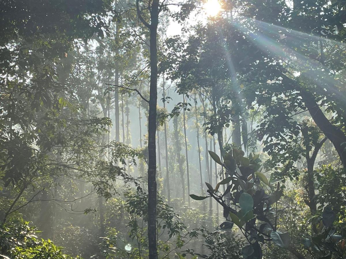 Willa Rai'S Coorg Cave House Madikeri Zewnętrze zdjęcie