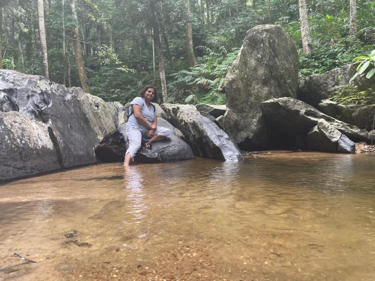 Willa Rai'S Coorg Cave House Madikeri Zewnętrze zdjęcie