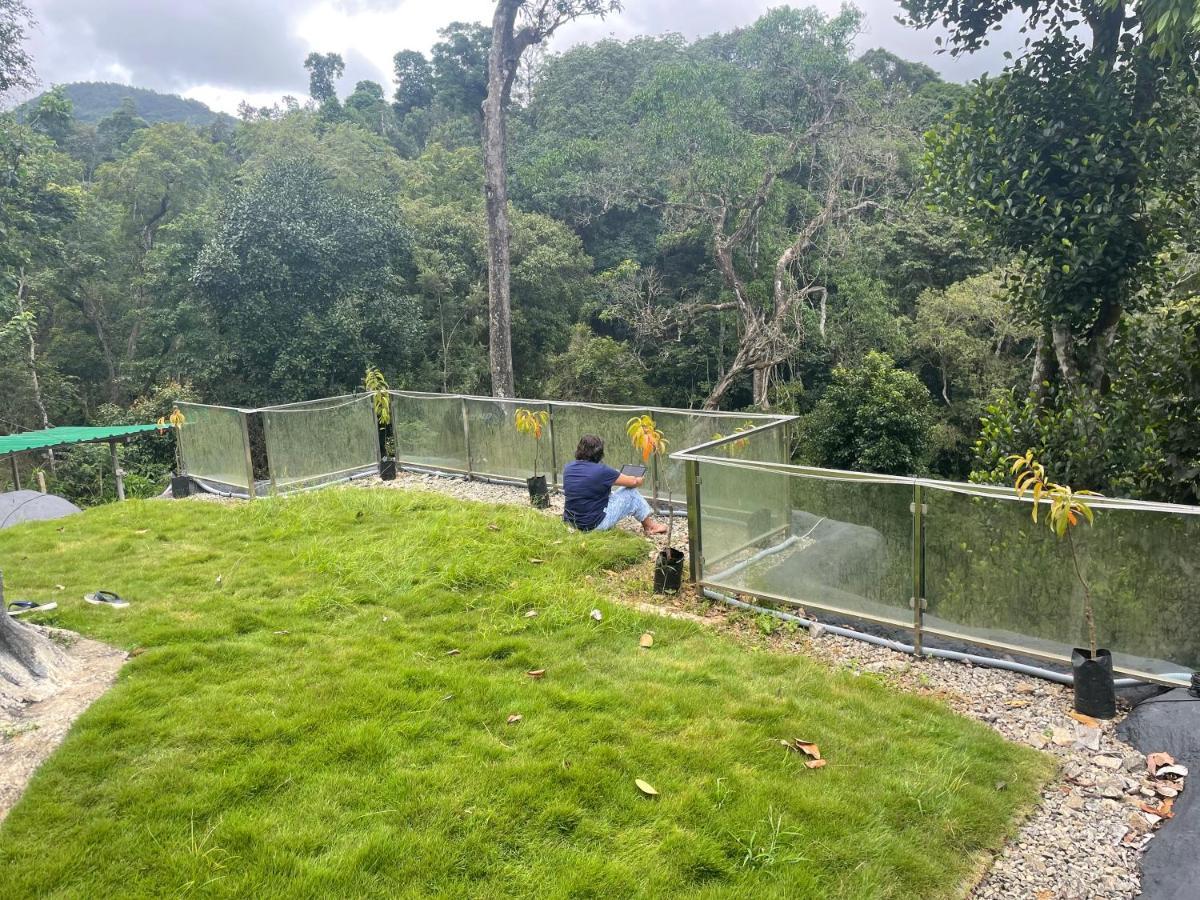 Willa Rai'S Coorg Cave House Madikeri Zewnętrze zdjęcie