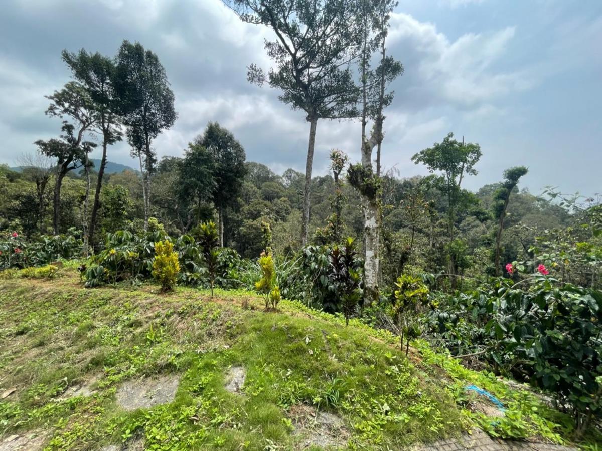 Willa Rai'S Coorg Cave House Madikeri Zewnętrze zdjęcie